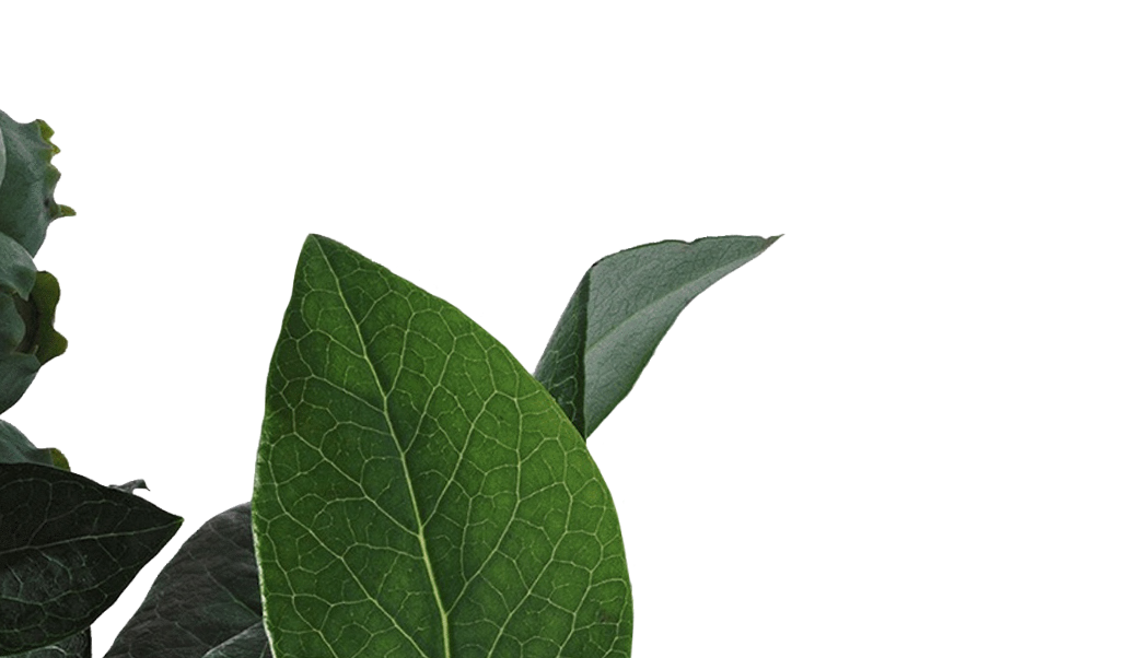 Background hero 01